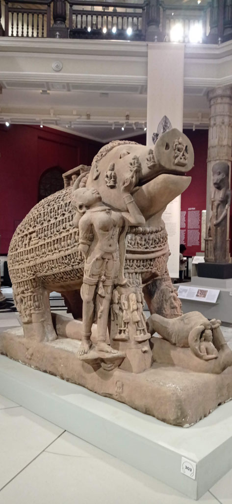 IMG_20240801_104214_BURST1